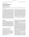 Báo cáo khóa học: Acyl-CoA dehydrogenases A mechanistic overview