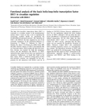 Báo cáo khoa học: Functional analysis of the basic helix-loop-helix transcription factor DEC1 in circadian regulation