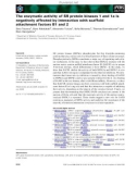 Báo cáo khoa học: The enzymatic activity of SR protein kinases 1 and 1a is negatively affected by interaction with scaffold attachment factors B1 and 2