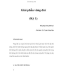 Giải phẫu vùng đùi (Kỳ 1)