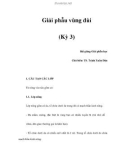 Giải phẫu vùng đùi (Kỳ 3)