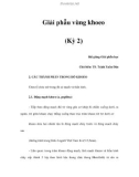 Giải phẫu vùng khoeo (Kỳ 2)