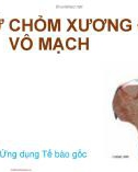 Bài giảng Hoại tử chỏm xương đùi vô mạch - Th.s. Phí Thị Lan