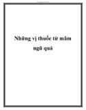 Những vị thuốc từ mâm ngũ quả