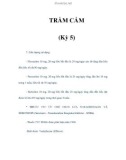 TRẦM CẢM (Kỳ 5)