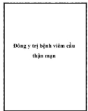 Đông y trị bệnh viêm cầu thận mạn