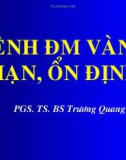 Bài giảng Bệnh động mạch vàng mạn ổn định - PGS. TS. BS Trương Quang Bình