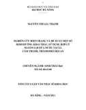 Tóm tắt Luận văn Thạc sĩ Khoa học: Nghiên cứu hiện trạng và đề xuất một số định hướng khai thác, sử dụng hợp lý nguồn lợi dừa nước tại xã Cẩm Thanh, thành phố Hội An