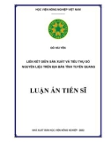 Luận án Tiến sĩ Kinh tế: Liên kết sản xuất và tiêu thụ gỗ nguyên liệu trên địa bàn tỉnh Tuyên Quang