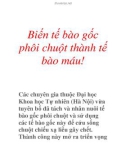 Biến tế bào gốc phôi chuột thành tế bào máu!