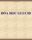 Bài giảng Hóa học glucid - ThS. Nguyễn Thị Minh Thuận