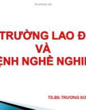 Bài giảng Môi trường lao động và bệnh nghề nghiệp - TS.BS. Trương Sơn