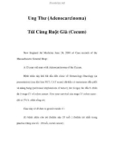 Ung Thư (Adenocarcinoma) Túi Cùng Ruột Già (Cecum)