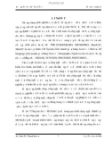 Công tác đo vẽ Mô hình lập thể trong quy trình công nghệ thành lập bản đồ bằng công nghệ ảnh số