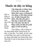 Thuốc từ dây tơ hồng