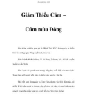 Cách Giảm Thiểu Cảm – Cúm mùa Ðông