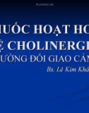 Bài giảng Thuốc hoạt hoá hệ cholinergic (BS. Lê Kim Khánh)