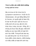 Thành phần các chất dinh dưỡng trong quả cà chua