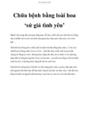 Chữa bệnh bằng loài hoa ‘sứ giả tình yêu'