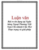 Luận văn: Rủi ro tín dụng tại Ngân hàng Ngoại Thương Việt Nam Chi nhánh Cần Thơ Thực trạng và giải pháp