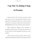 Ung Thư Vú, Buồng Trứng và Prostate