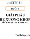 Bài giảng Giải phẫu: Buổi 1 - ThS.BS. Nguyễn Duy Tài