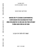 Luận án tiến sĩ Y học: Nghiên cứu tỷ lệ kháng Clarithromycin, levofloxacin của Helicobacter Pylori bằng Epsilometer và hiệu quả của phác đồ EBMT ở bệnh nhân viêm dạ dày mạn