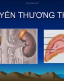 Tuyến thượng thận