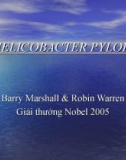 HELICOBACTER PYLORI (Barry Marshall & Robin Warren)