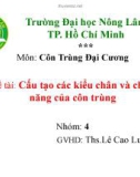 Đề tài: Cấu tạo các kiểu chân và chức năng của côn trùng