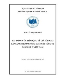 Luận văn Thạc sĩ Kinh tế: Tác động của biến động tỷ giá hối đoái đến tăng trưởng năng suất các công ty sản xuất ở Việt Nam