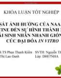 Báo cáo khóa luận tốt nghiệp: Khảo sát ảnh hưởng của Naa, Ba và Kinetine đến sự hình thành mô sẹo và tái sinh nhân nhanh giống hoa cúc đại đóa In Vitro