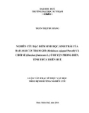 Luận văn Thạc sĩ Sinh học: Nghiên cứu đặc điểm sinh học, sinh thái của hai loài cây Tràm gió (Melaleuca cajuputi Powell) và Chổi sể (Baeckea frutescens L.) ở huyện Phong Điền, tỉnh Thừa Thiên Huế