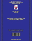 Luận văn Thạc sĩ Kỹ thuật xây dựng: Nghiên cứu ứng xử của bê tông chịu nén có vỏ bao quanh