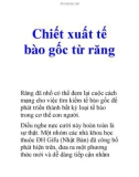 Chiết xuất tế bào gốc từ răng