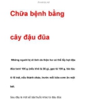 Chữa bệnh bằng cây đậu đũa