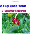 Bài giảng Flavonoid dược liệu chứa Flavonoid