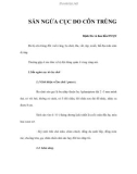 SẨN NGỨA CỤC DO CÔN TRÙNG