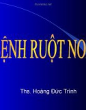 Bệnh ruột non