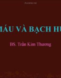 Bài giảng Mô máu và bạch huyết - BS. Trần Kim Thương