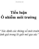 Đề tài: 'Xác định các thông số môi trường cần đánh giá trong lò giết mổ gia súc'