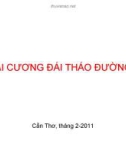 Đại cương Đái tháo đường