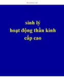 Bài giảng Sinh lý hoạt động thần kinh cấp cao