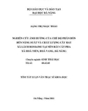 Tóm tắt luận văn Thạc sĩ Khoa học: Nghiên cứu ảnh hưởng của chế độ phân bón đến năng suất và chất lượng cây rau xà lách Rômaine tại nền đất cát pha xã Hoà Tiến, Hoà Vang, Đà Nẵng