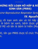 Hội chứng rối loạn hô hấp và rối loạn sinh sản (PRRS)