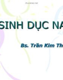 Bài giảng Hệ sinh dục nam - BS. Trần Kim Thương