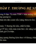 Sơ cứu và cấp cứu chấn thương trước khi đến viện (Phần 5)