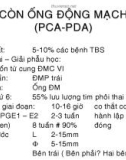 Còn ống động mạch (PCA - PDA)