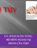 U tủy