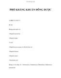 PHỔ KHÁNG KHUẨN ĐÔNG DƯỢC